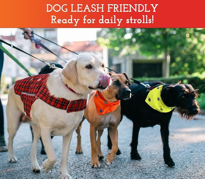 SPOT THE DOG! Reflective Dog Collar - Adjustable Pet Collars, Safe, Durable, Comfortable Dog Walking Accessories for Large Dog, Hunting Dog, Puppy, Boy, Girl Dog Collars (Blaze Orange, Red Plaid, XL)