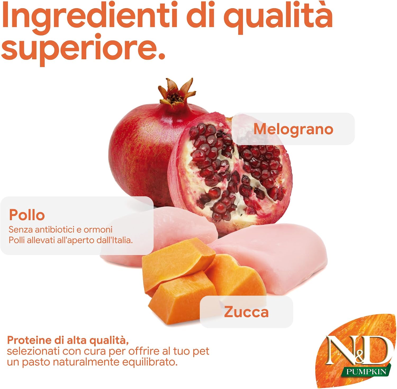 Mini Breed Adult Grain Free Pumpkin Chicken & Pomegranate Dry Dog Food by Farmina