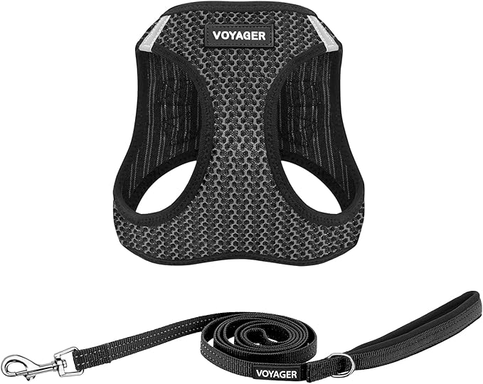 Best Pet Supplies Voyager Step-in Air All Weather Mesh Harness and Reflective Dog 5 ft Leash Combo with Neoprene Handle, for Small, Medium and Large Breed Puppies - Gray (2-Tone), M