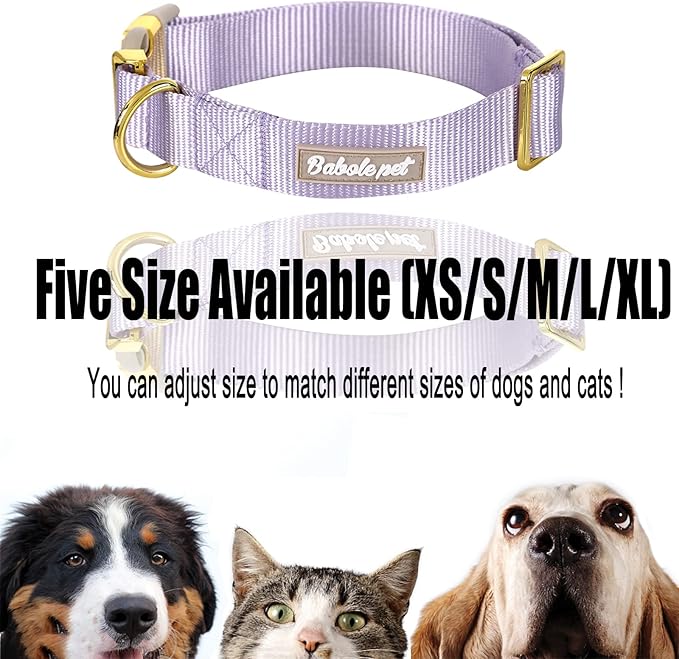 Nylon Dog Collar - Adjustable Lavender Soft Webbing Dog Collars for Small Medium Large Dogs Boy Girl Puppy Collar with Safety Metal Buckle XS