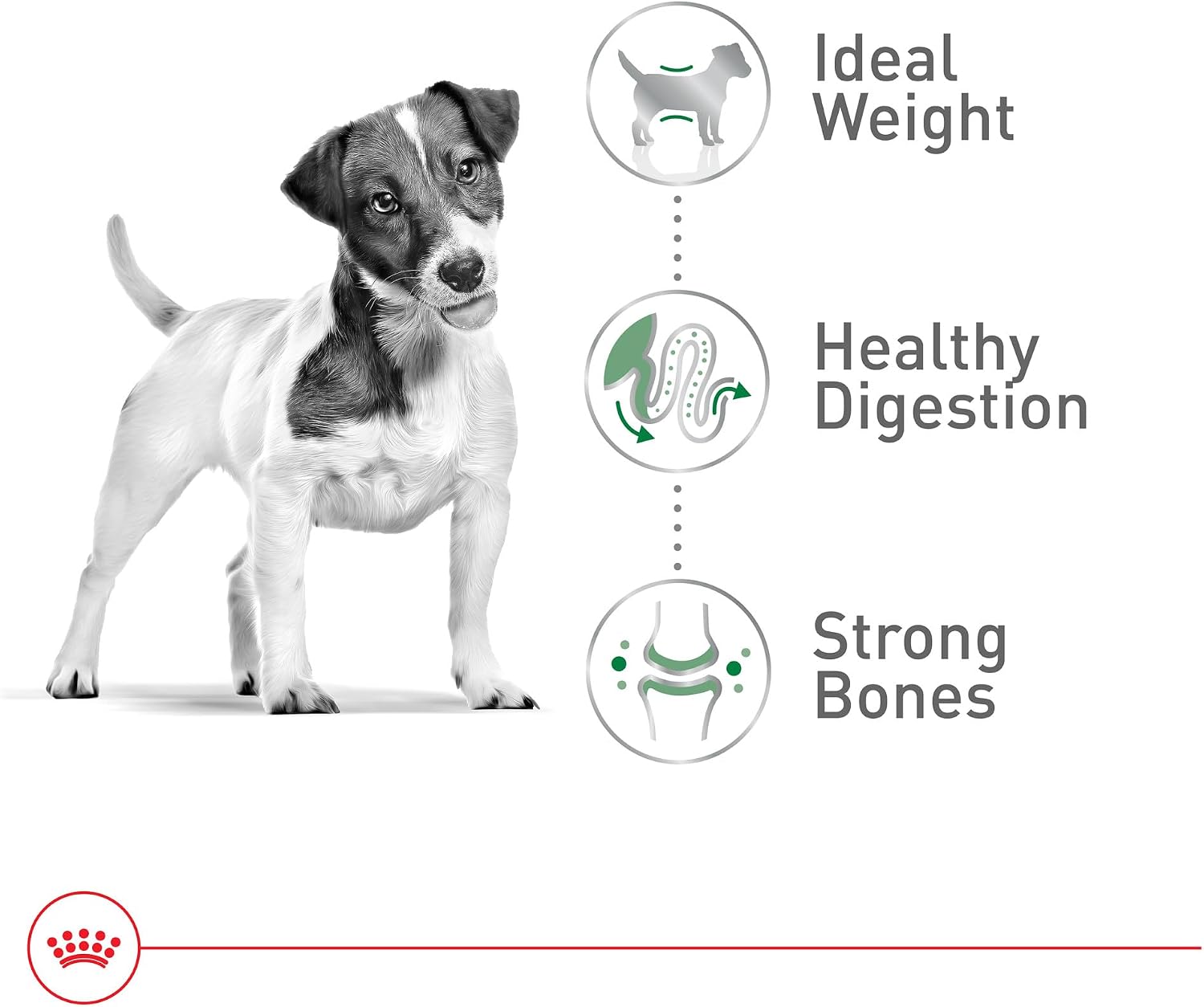 Royal Canin Size Health Nutrition Small Adult Dry Dog Food, 4 lb. Bag