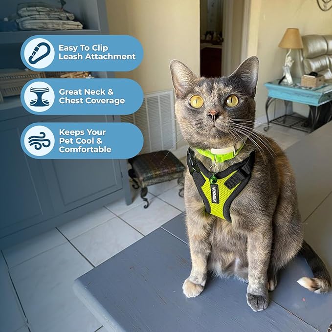 Voyager Escape-Proof Step-in Lock Cat Harness & 5ft Neoprene-Handle Leash Set All-Weather Mesh with Reflective Stitching for Small to Large Cats by Best Pet Supplies, Lime Green/Black Trim, S