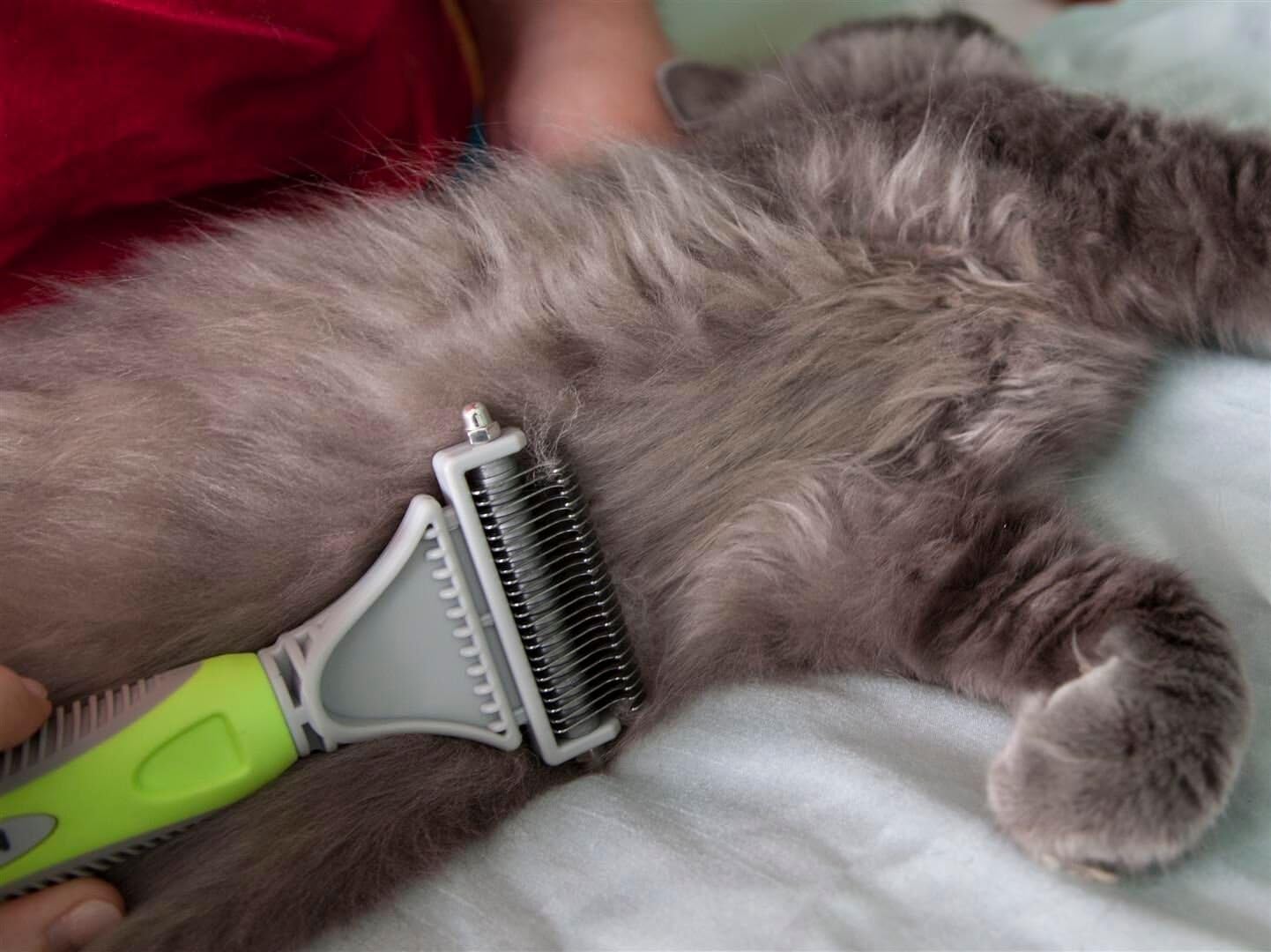 Berso Best Pet Dematting Comb Tool Great to Brush Medium and Long Hair Dogs and Cats