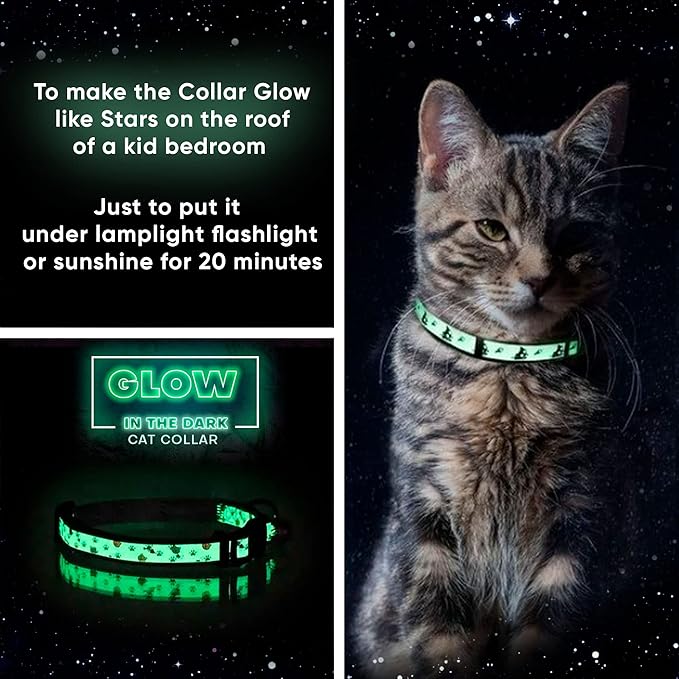 Pawtitas Glow in The Dark Cat Collar with Breakaway Safety Buckle & Bell Adjustable Kitten Collar, Green