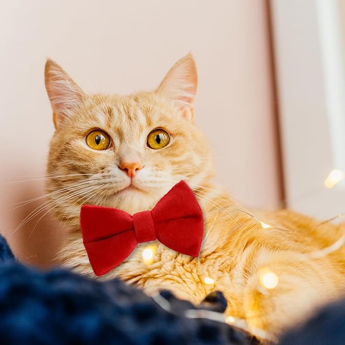 2 Pcs Velvet Cat Collar Cute Cat Bow Tie Collar Adjustable Breakaway Collars with Bell and Bow Tie Solid Color Removable Cats with Safety Buckle for Cats Kitten Puppy Pet Accessories