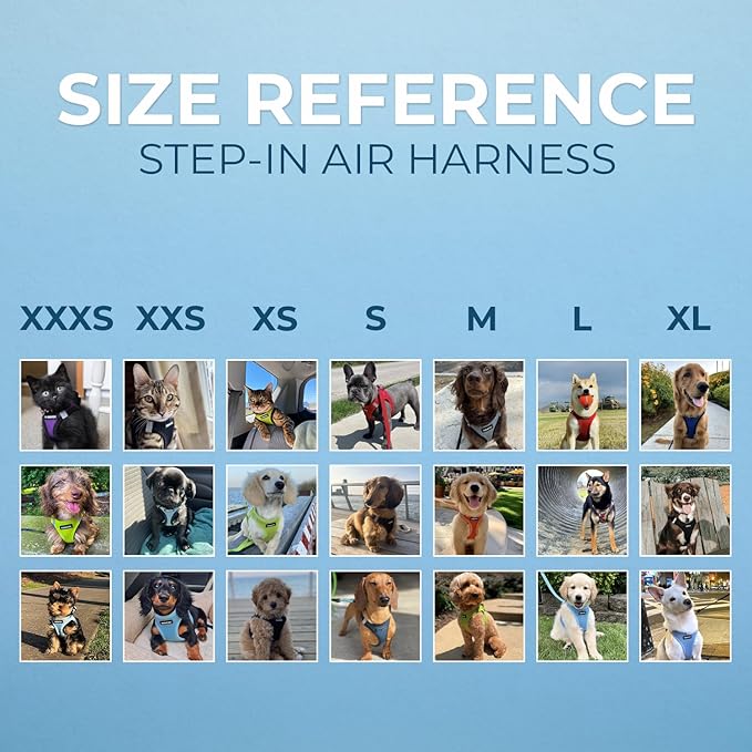 Best Pet Supplies - All Weather Mesh / Plush, Reflective, No Pull Harness for Small, Medium Dogs, Cats - Secure with Hook & Loop Fastener, Buckle, Double D-Rings - Pink/Black Trim, L