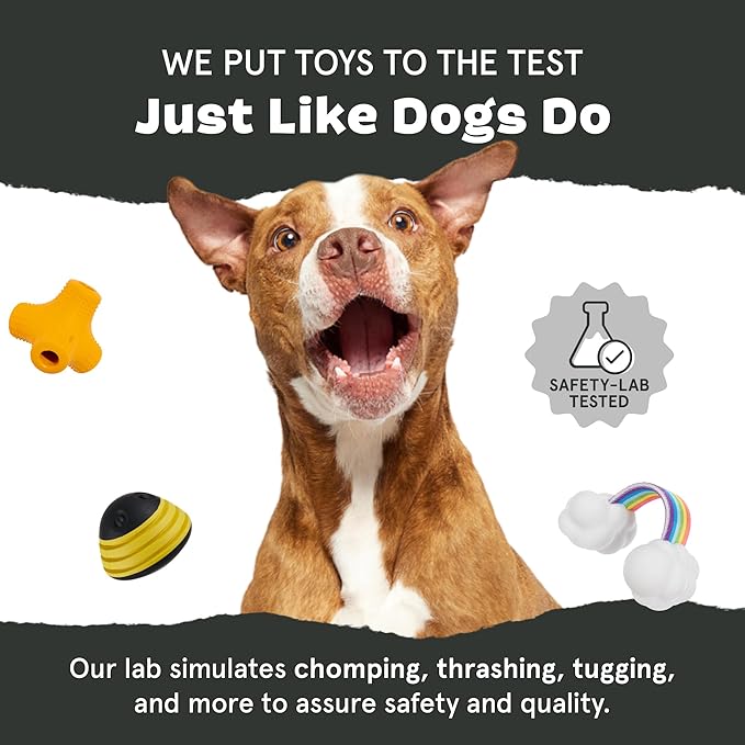 Barkbox Super Chewer Tough Dog Chew Toys for Aggressive Chewers, Dental Stimulating (PB Bone - Small)
