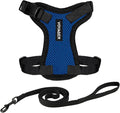 Voyager Escape-Proof Step-in Lock Cat Harness & 5ft Neoprene-Handle Leash Set All-Weather Mesh with Reflective Stitching for Small to Large Cats by Best Pet Supplies, Royal Blue/Black Trim, XS
