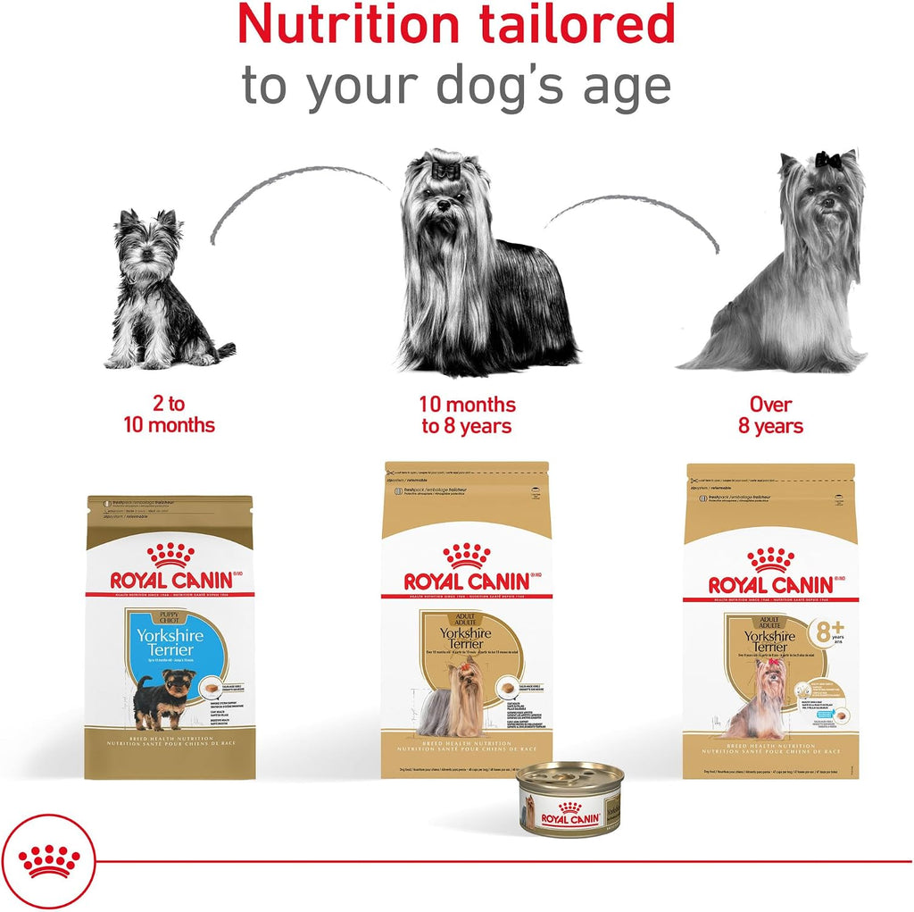 ROYAL CANIN Breed Health Nutrition Yorkshire Terrier 8+ Senior Dry Dog Food, 2.5 lb Bag