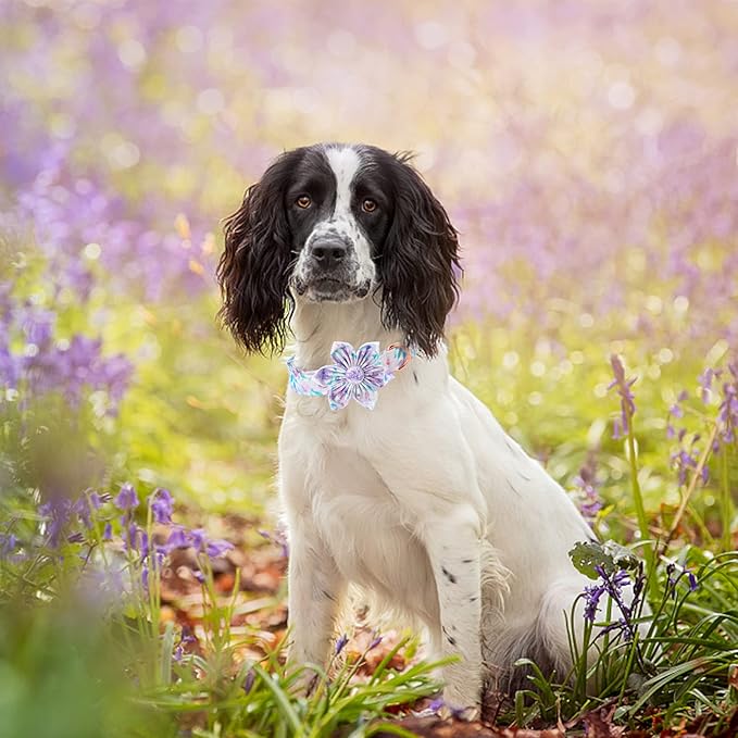 Lionheart Glory Dog Collar, Purple Dog Collar with Flower, Cute Floral Pattern Pet Collar Adjustable Dog Collar for Large Dogs