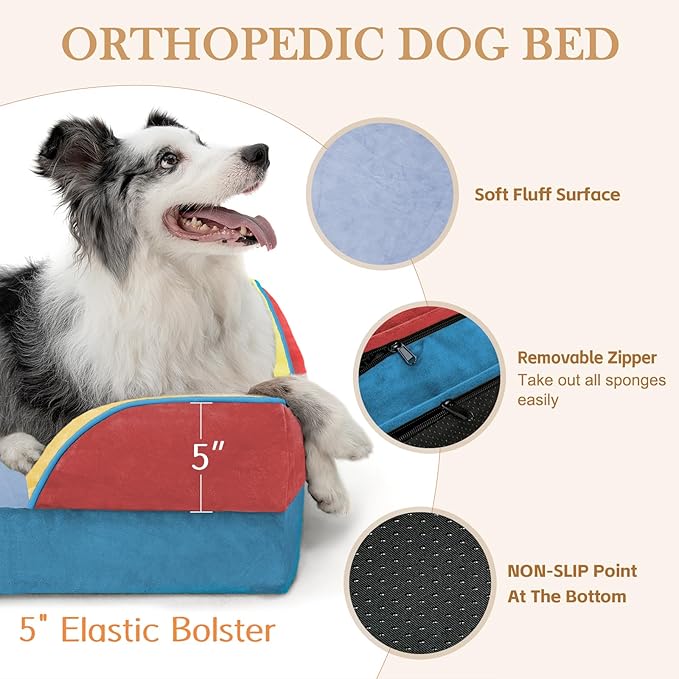 Comfort Expression Orthopedic Dog Bed for Large Dogs 36x27 Inch, Waterproof Egg Crate Foam Large Pet Bed with Removable Bolsters, Dog Couch with Washable Cover & Non-Slip Bottom, Funfetti Fiesta
