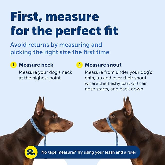 PetSafe Gentle Leader Headcollar No-Pull Dog Collar - Helps Improve Walks - Durable Nylon Construction - Padded Nose Loop - Adjustable Fit - Comfort Walking Halter - Small, Charcoal