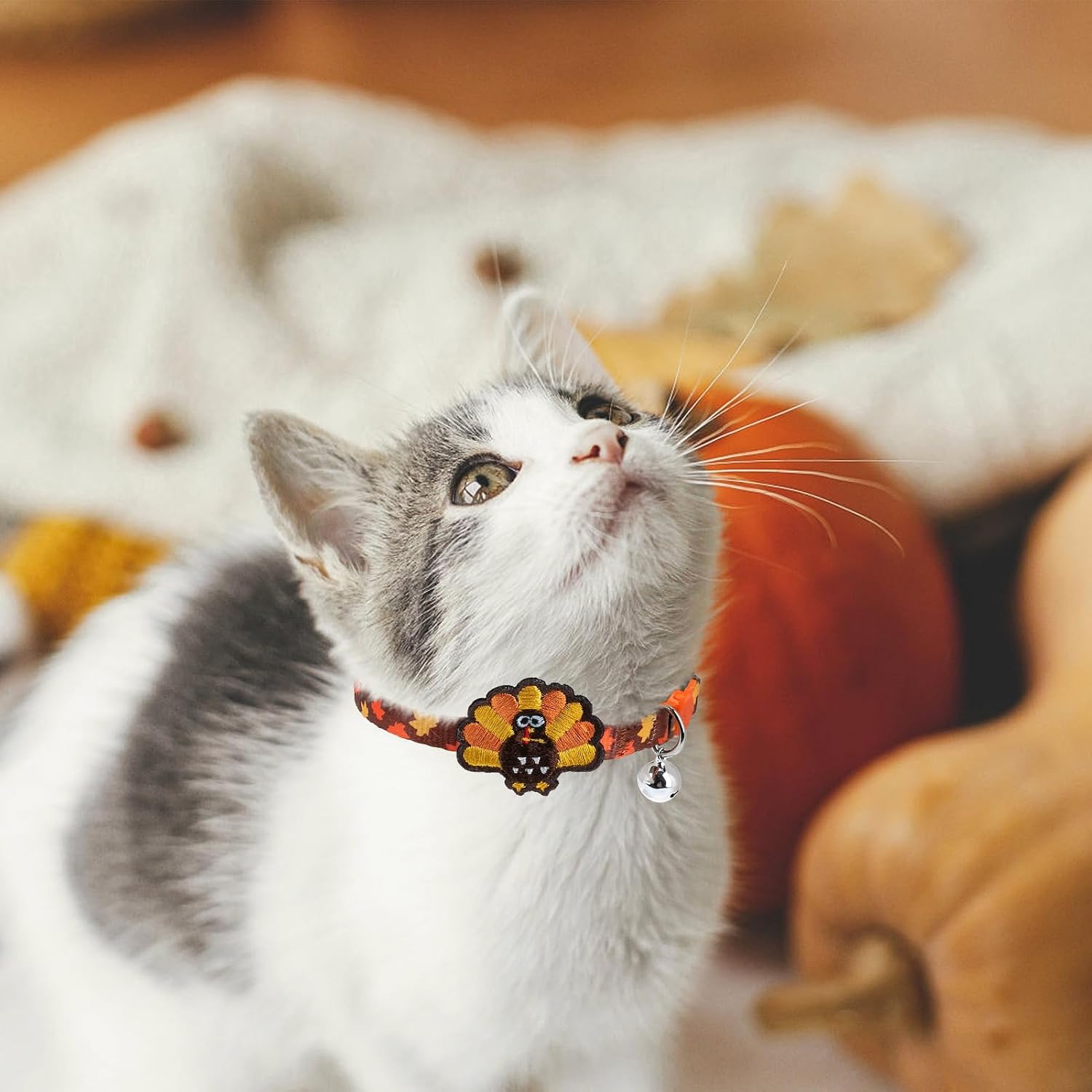 PUPTECK Halloween/Thanksgiving/Christmas Cat Collars Breakaway with Bell | Holiday Pattern Fall Pet Collar 3 Pack for Girl Boy Kittens Puppies and Small Pets