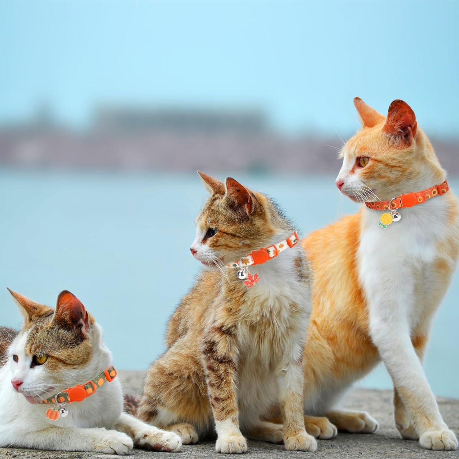 PUPTECK Cat Collar Breakaway with Bells, Adjustable Kitten Collar Outfit | for Girl Boy Small Pet Puppy Bunny, Cute Costume Accessory with Safety Release Buckle (Fall)