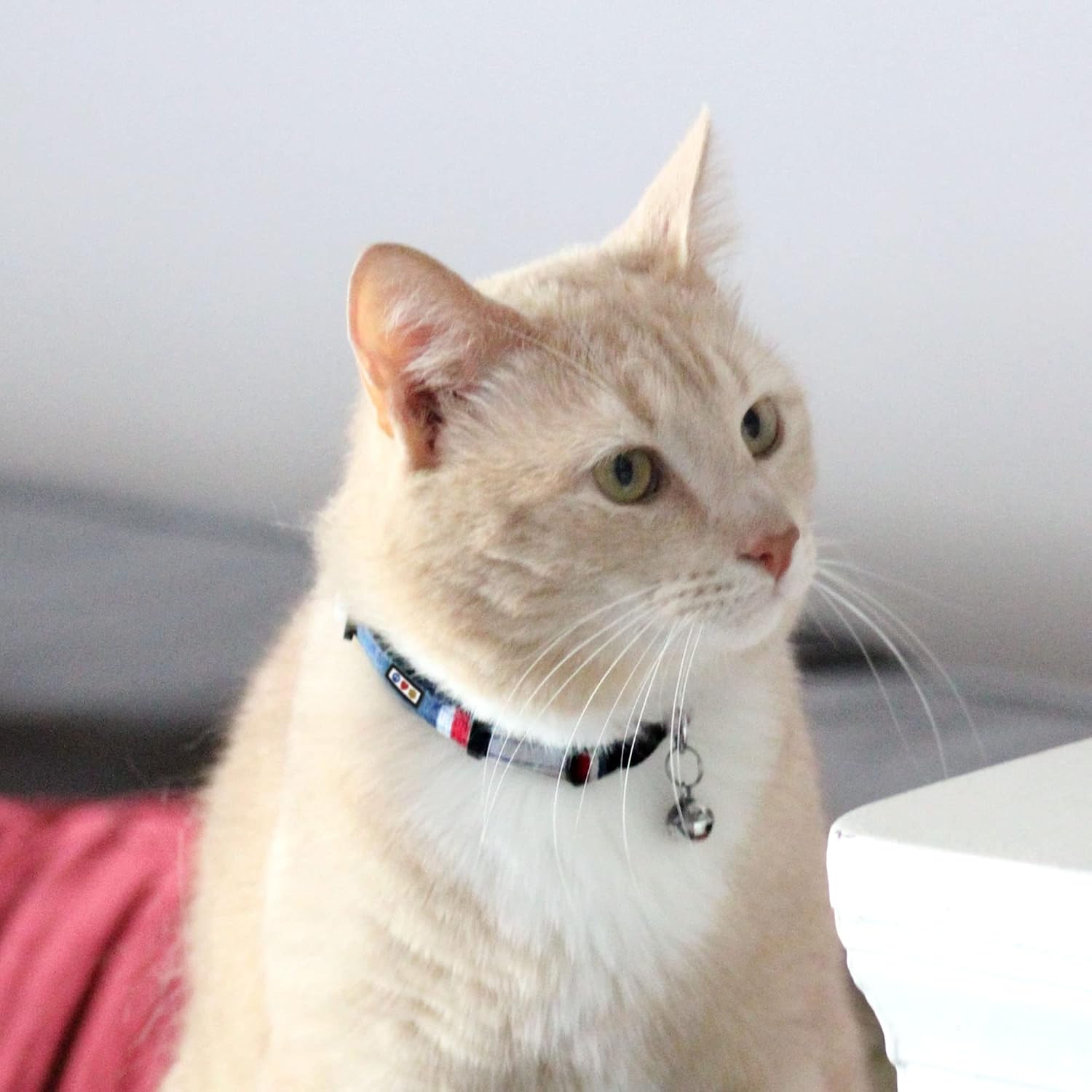 Pawtitas Pet Multicolor Cat Collar Teal/Pink/Purple with Safety Buckle and Removable Bell for Cats and Kittens