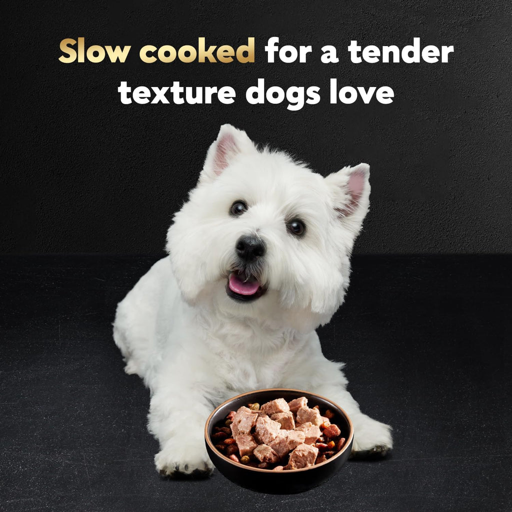 Cesar Classic Loaf in Sauce Wet Dog Food, Variety Pack, 3.5 oz, 60 Count | Made in USA, No fillers or artificial flavors, slow-cooked juicy texture, works as a meal or food topper, easy peel trays
