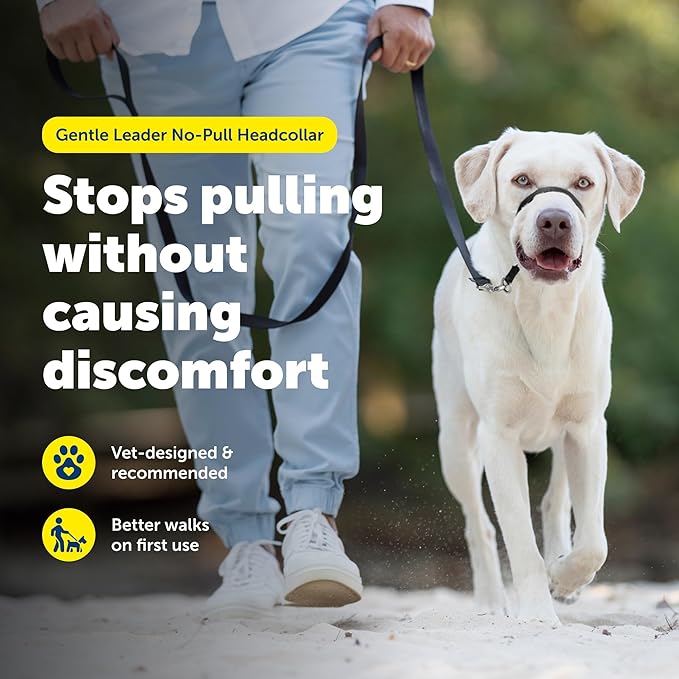 PetSafe Gentle Leader Headcollar No-Pull Dog Collar - Helps Improve Walks - Durable Nylon Construction - Padded Nose Loop - Adjustable Fit - Comfort Walking Halter - Large, Deep Purple