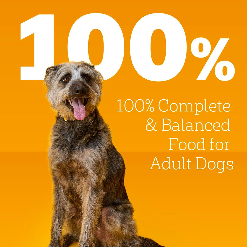 Pedigree Choice Cuts Wet Dog Food, Beef & Country Stew, 13.2 oz, 12 Count | Beef & Country Stew flavors, 100% complete & balanced, supports lean muscles, 50%+ water for hydration, made with real beef