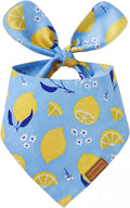 Luxury Double-Layer Dog Birthday Bandana – Handmade, Silk-Soft Polyester for All Dog Sizes | Birthday & Party Outfit | Gift-Ready Pet Accessory(Yellow, Small)