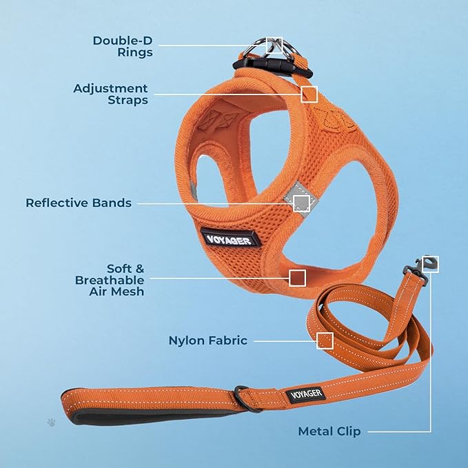 Best Pet Supplies Voyager Step-in Air All Weather Mesh Harness and Reflective Dog 5 ft Leash Combo with Neoprene Handle, for Small, Medium and Large Breed Puppies - Harness Leash Set (Orange), XS