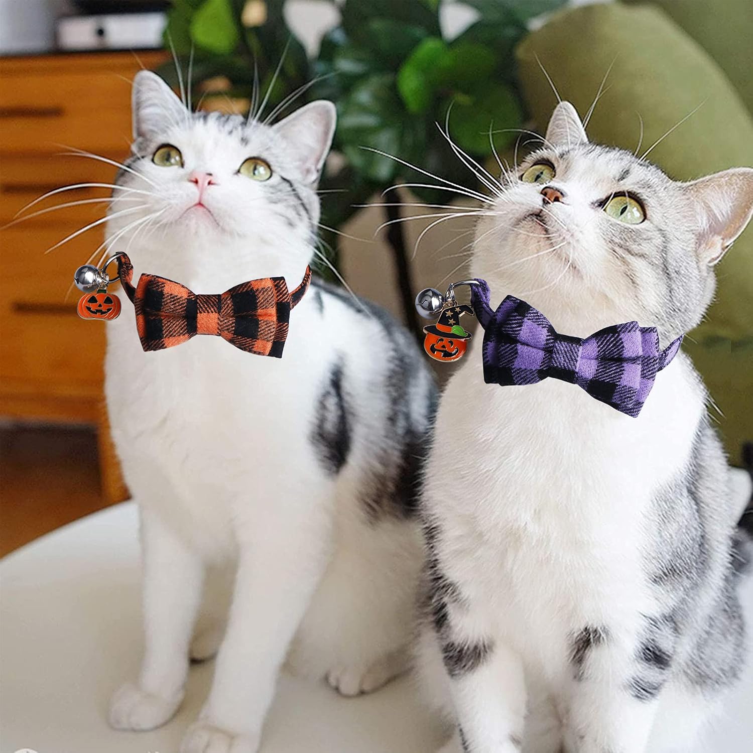STMK 2 Pack Halloween Plaid Cat Collars with Bow Tie Bell, Breakaway Adjustable Pumpkin Cat Kitten Collars with Bowtie Bell for Halloween Cats Kittens Costume Decorations