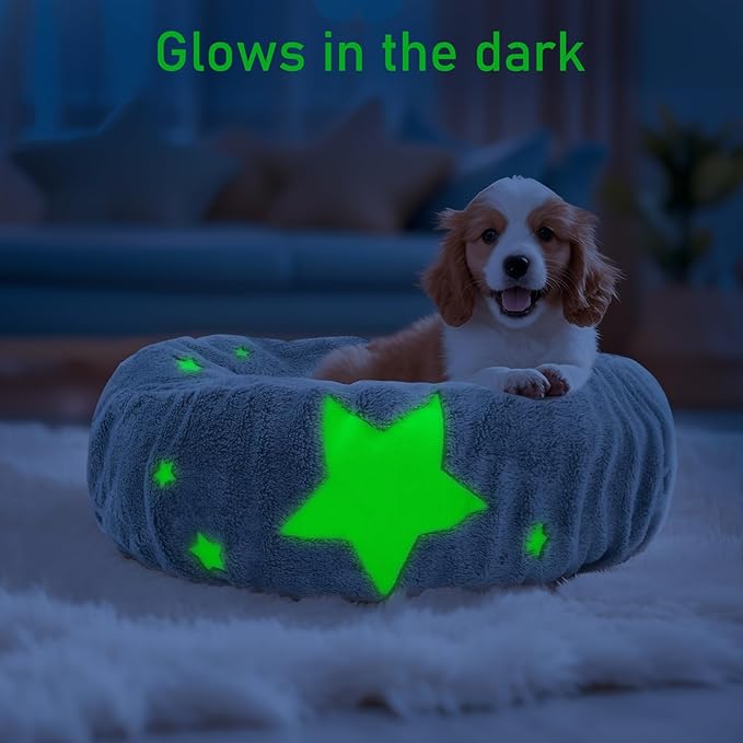 Glow in The Dark Dog Bed Cover - Replacement Washable Protector with Gray Star Pattern & Elastic Edges for Small & Medium Beds, 20" x 9.8"