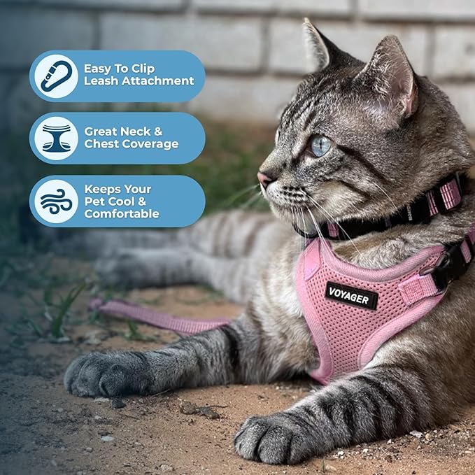 Voyager Step-in Lock Adjustable Cat Harness w. Cat Leash Combo Set with Neoprene Handle 5ft - Supports Small, Medium and Large Breed Cats by Best Pet Supplies - Pink, S (Pack of 2)