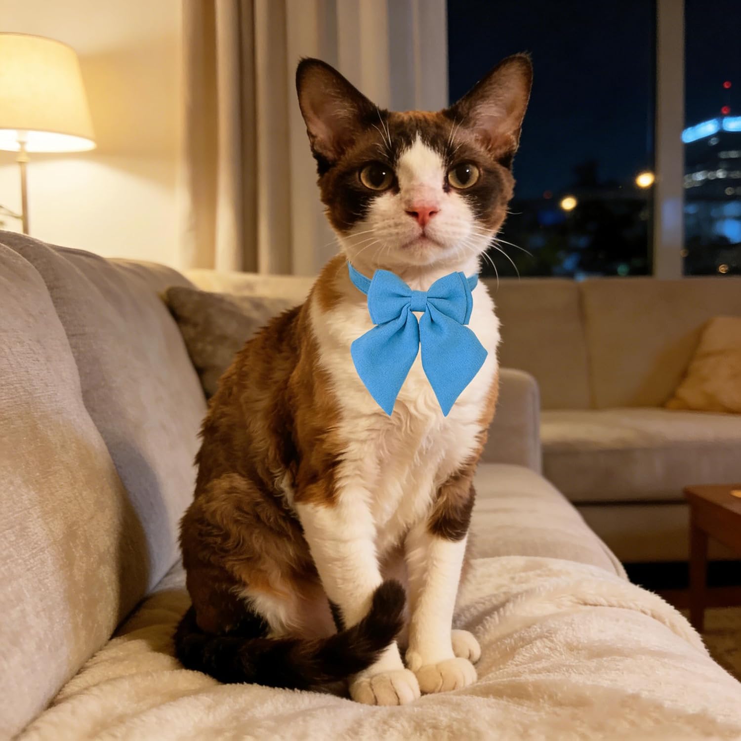 Cat Collar with Bow Tie Bell Breakaway Kitten Small Pet Safety Solid Wedding Basic Pure Color Suede Soft Adjustable Sailor Bow-[1pc] Blue