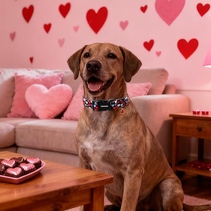 DOGWONG Red Heart Dog Collar, Cute Valentine Collar, Valentine's Day Dog Collar with Strong Plastic Buckle for Small Medium Large Dogs,L