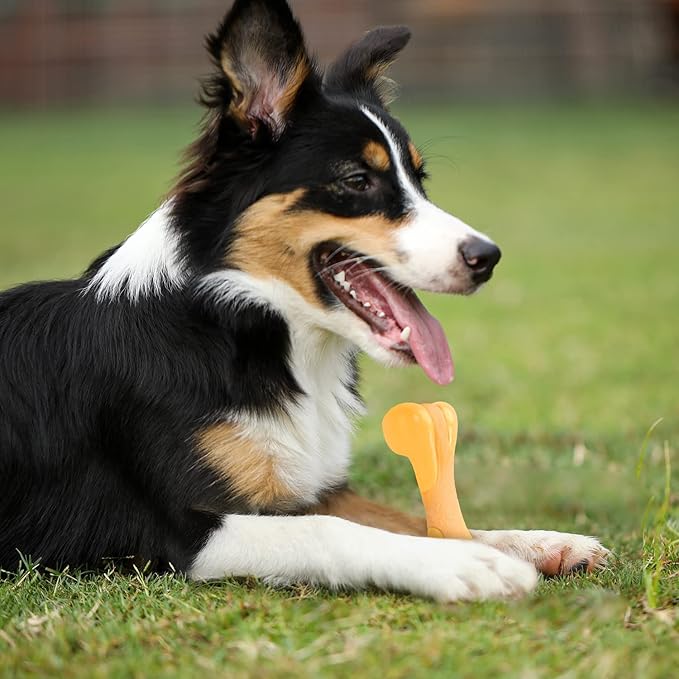 Tikaton Dog Chew Toys for Aggressive Chewers, Chicken Flavor Durable Dog Teething Chew Toys Bones for Large/Medium/Small Puppies