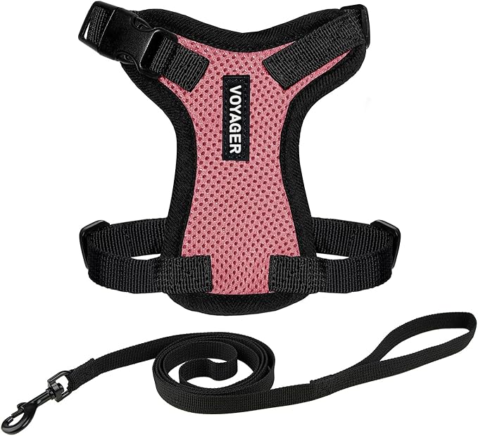 Voyager Escape-Proof Step-in Lock Cat Harness & 5ft Neoprene-Handle Leash Set All-Weather Mesh with Reflective Stitching for Small to Large Cats by Best Pet Supplies, Pink/Black Trim, XXXS