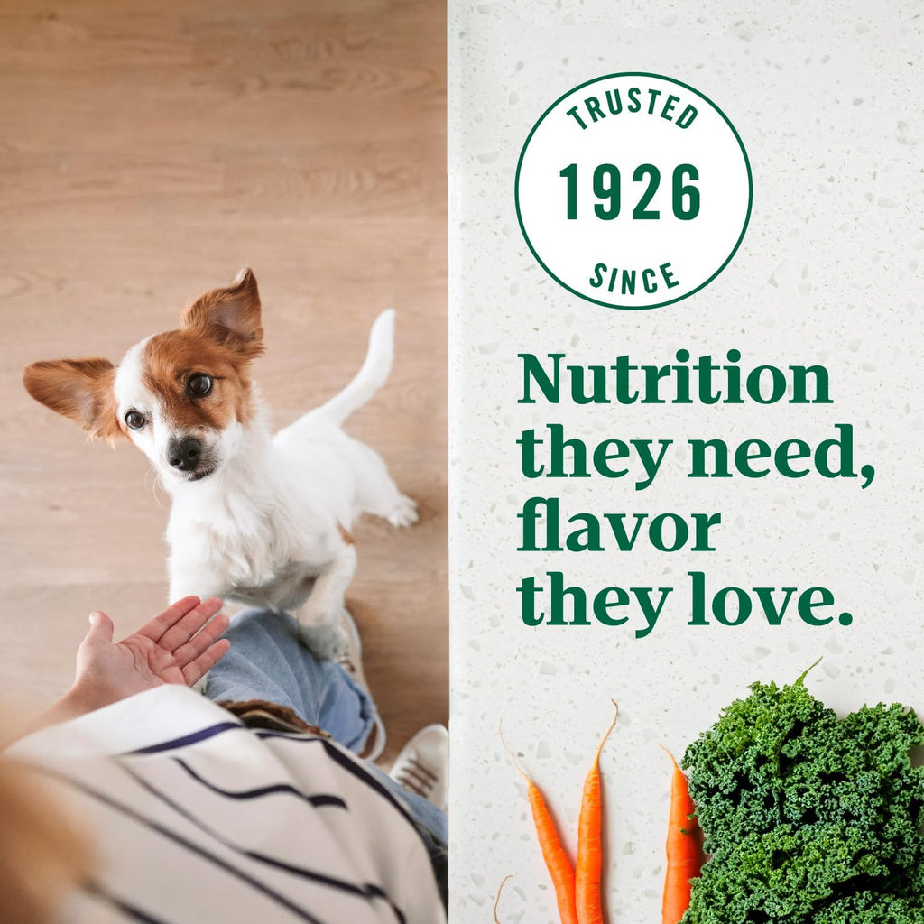 Nutro Ultra Small Breed Adult Dry Dog Food, Chicken, Lamb & Salmon, 3.5 lb | High-protein trio, Non-GMO, no corn, wheat, soy, 14 superfoods blend, Omega 3 & 6 fatty acids, essential antioxidants