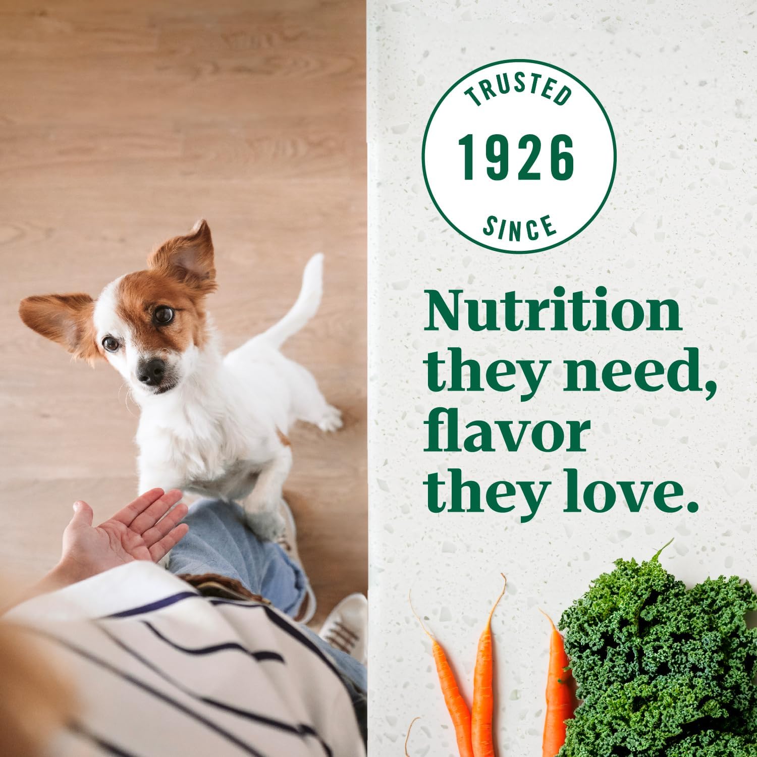 Nutro Ultra Small Breed Adult Dry Dog Food, Chicken, Lamb & Salmon, 3.5 lb | High-protein trio, Non-GMO, no corn, wheat, soy, 14 superfoods blend, Omega 3 & 6 fatty acids, essential antioxidants