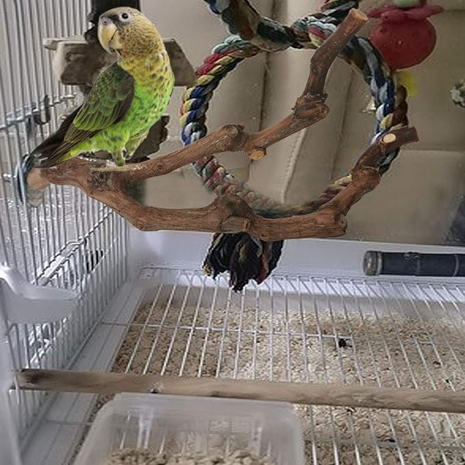 PINVNBY Natural Parrot Perch Bird Stand Pole Wild Grape Stick Paw Grinding Fork Parakeet Climbing Standing Branches Toy Chewable Cage Accessories for Small Lovebirds Budgies Cockatiels 2PCS