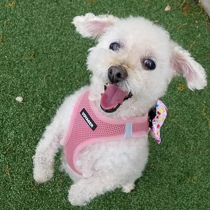 Best Pet Supplies Voyager Step-in Air All Weather Mesh Harness and Reflective Dog 5 ft Leash Combo with Neoprene Handle, for Small, Medium and Large Breed Puppies - Harness Leash Set (Pink), XXS