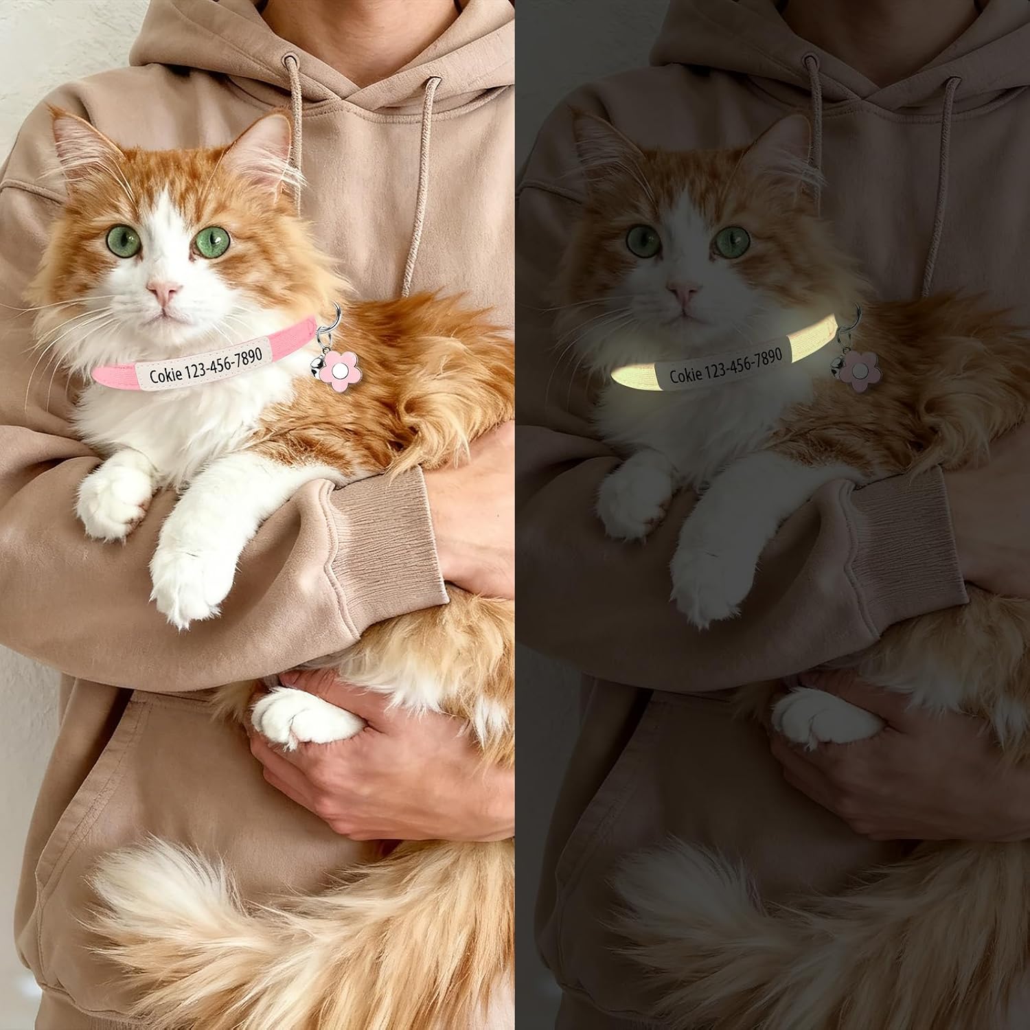 Personalised Glow in the Dark Cat Collar with Bell Flower Decoration, Custom UV-Printed Name & Phone Number, Luminous Adjustable Cat Collar Breakaway (UV-Printed)
