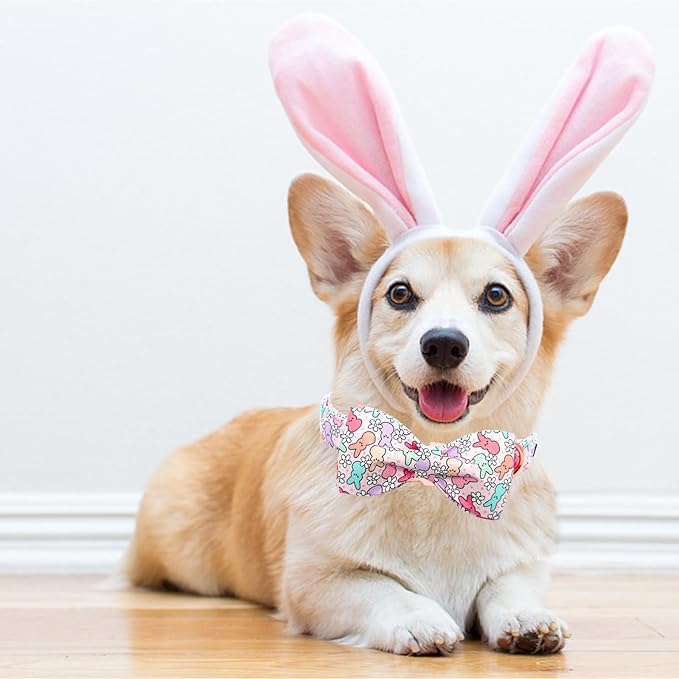 Lionheart Glory Easter Day Dog Collar with Bowtie for Large Dogs, Rabbits
