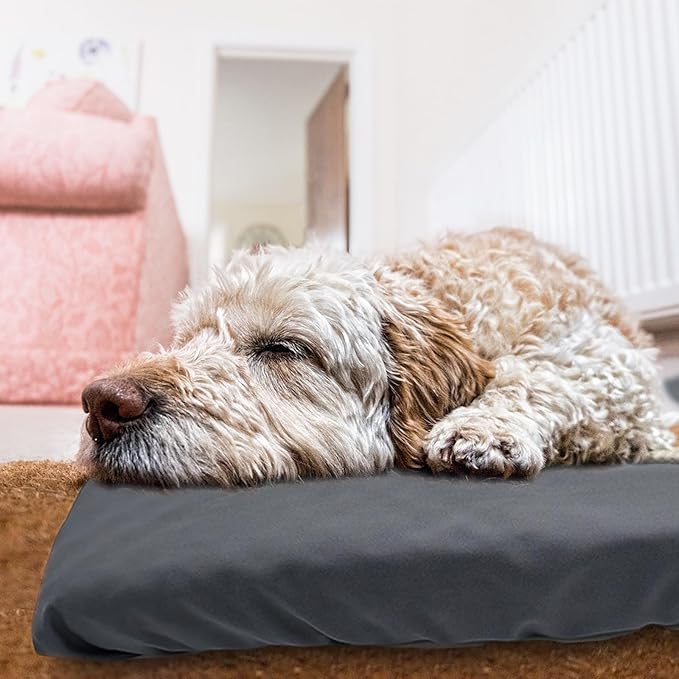 Dog Bed Cover Waterproof Replacement Machine Washable Covers for 44x32 Inch Dog Bed Heavy Duty Scratch Resistant Mattress Protector Pet Bed Cover Only Grey