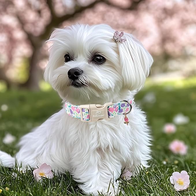 Floral Dog Collar for Large Dogs - Pink Purple Tulips Print Dog Collars, Spring Summer Cute Flower Puppy Collar, Lightweight Adjustable April Holiday Boy Girl Dogs Collars L