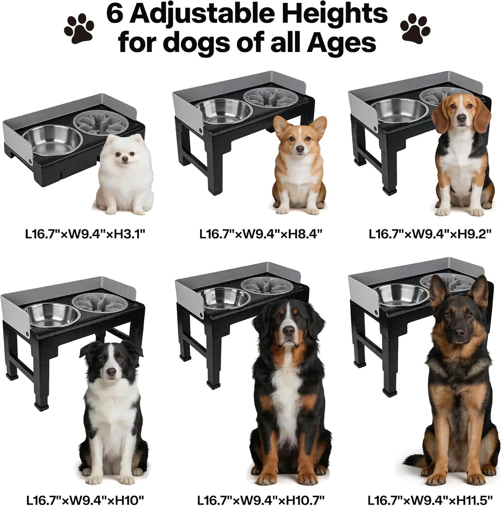 Pawise Elevated Dog Bowl Stand，Adjustable Height，Slow Feeder for Dogs | Splash proof,1 Slow Feeder Bowl， 2 stainless steel bowls, 6 heights for all dog sizes