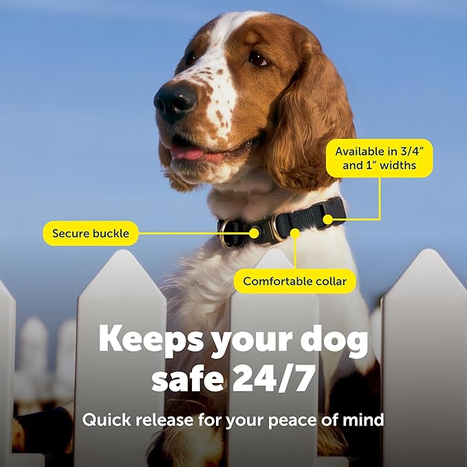 PetSafe KeepSafe Break-Away Safety Collar - Protects Dogs from Collar Accidents - Patented Break-Away Buckle - Durable Adjustable Design - Soft Nylon