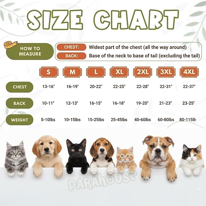 Personalized Dog Hoodie, Custom Embroidered Name Pet Hoodie, Warm Winter Outfit for Dogs, Pet Clothes, Gift for Dog Lovers 2