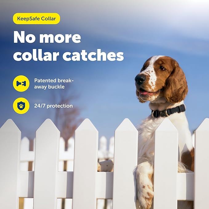 PetSafe KeepSafe Break-Away Safety Collar - Protects Dogs from Collar Accidents - Patented Break-Away Buckle - Durable Adjustable Design - Soft Nylon