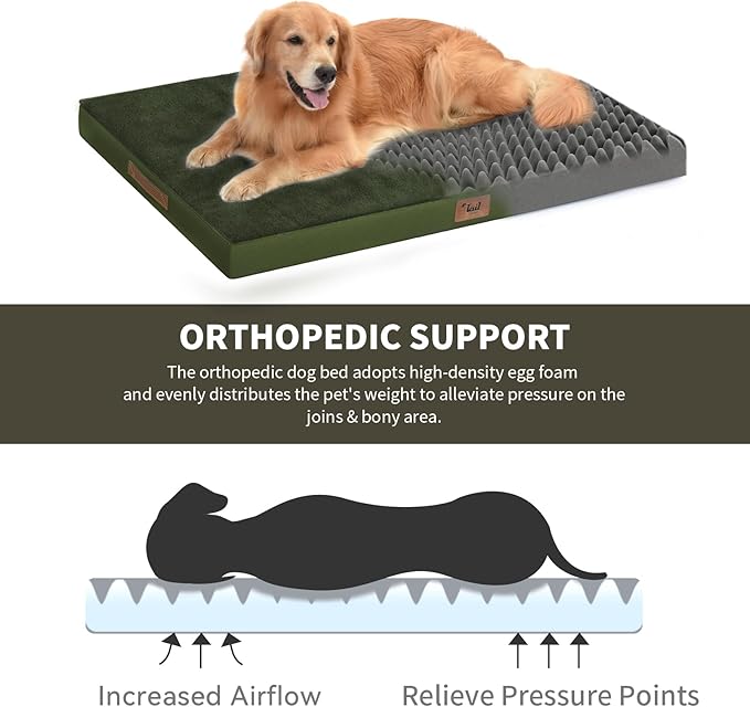 Large Comfy Washable Dog Bed, Orthopedic Egg Crate Foam Dog Crate Mat for Large Dogs with Removable Cover, 41x27 Inch, Olive Green