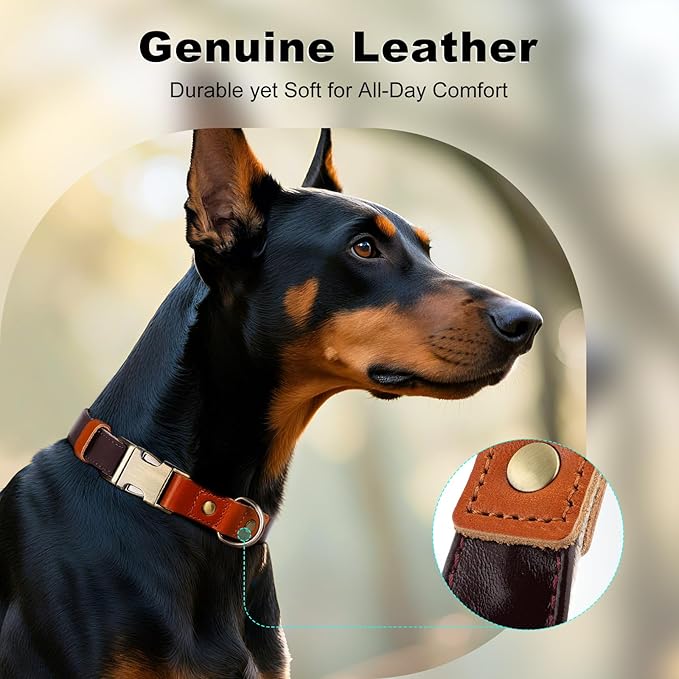 Plutus Pet Genuine Leather & Hemp Dog Collar – Adjustable Heavy Duty Pet Collar with Quick Release Metal Buckle, Soft & Stylish for Puppy and Small, Medium, Large Dogs (Copper Brown, XS)