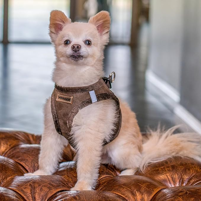 Best Pet Supplies - All Weather Plush, Reflective, No Pull Harness for Small, Medium Dogs, Cats - Secure with Hook & Loop Fastener, Buckle, Double D-Rings - Chocolate Suede, XL