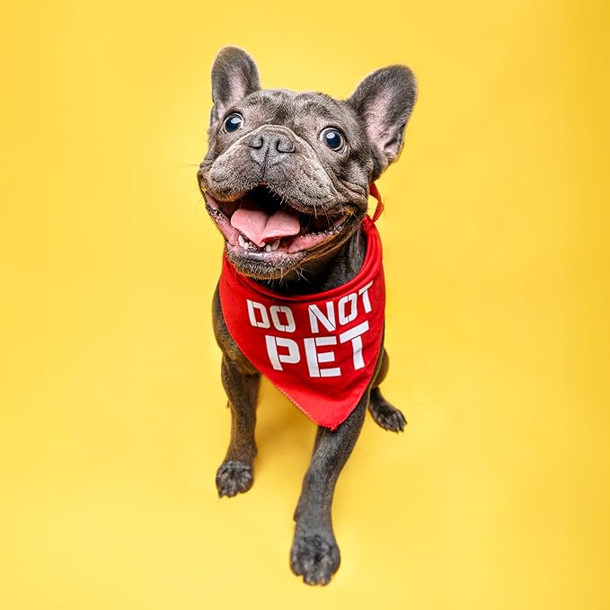 Do Not Pet Dog Bandana (Black, XS 157)