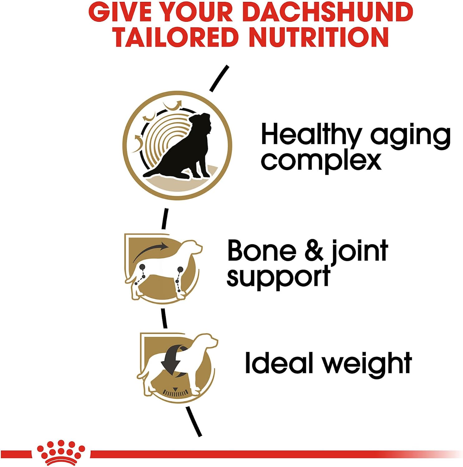 ROYAL CANIN Dachshund 8+ Adult Dry Dog Food, 3 lb Bag | Healthy Aging Support, Bone & Joint Support, For Dachshunds 8+ Years, Weight Control, Rehydratable Kibble