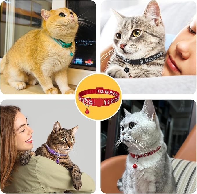 Taglory Kitten Collar Breakaway with Bell, 2 Pack Girl Boy Pet Kitten Collar Adjustable 6-8 Inch for 2-6 Months Cat, Orange