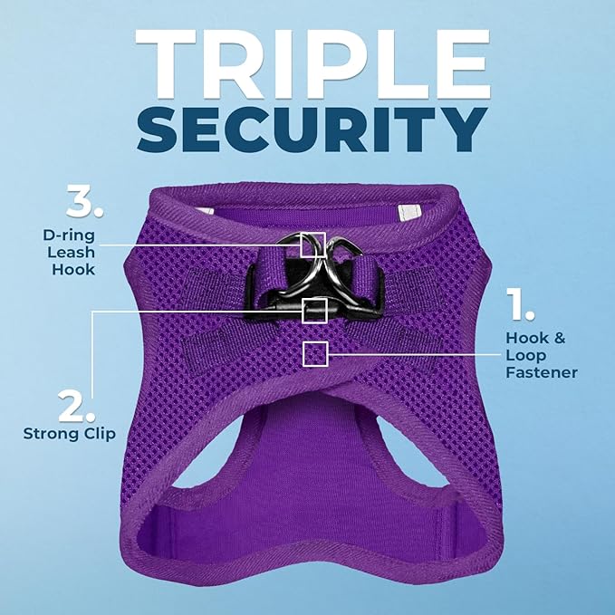 Best Pet Supplies Voyager Step-in Air All Weather Mesh Harness and Reflective Dog 5 ft Leash Combo with Neoprene Handle, for Small, Medium and Large Breed Puppies - Set (Purple), M